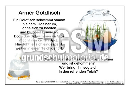 Goldfisch.pdf